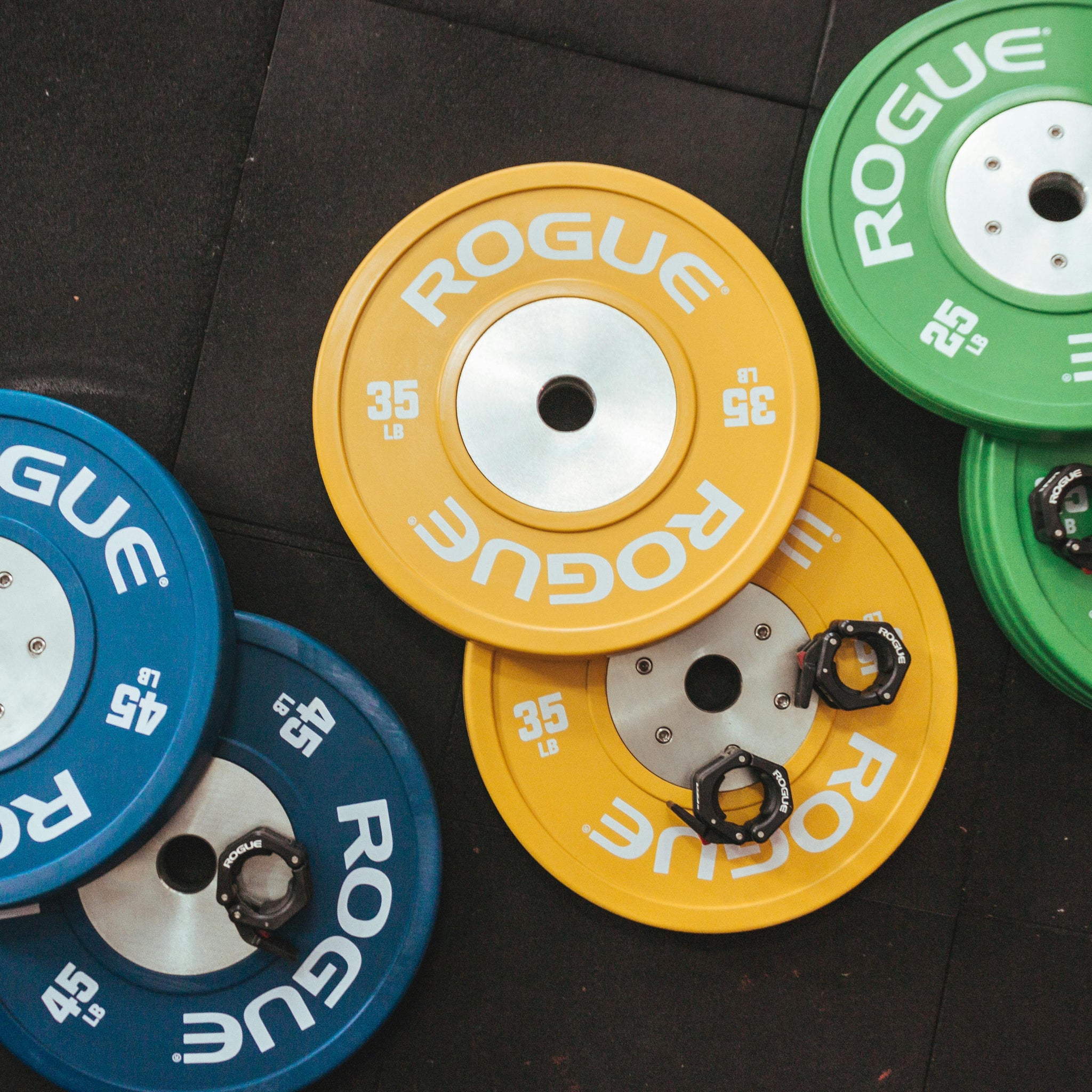 Rogue-Weight-Plates